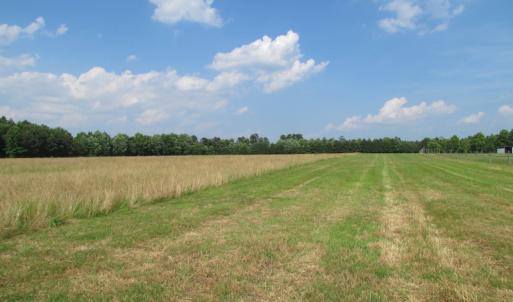 Photo of UNDER CONTRACT!  55 Acres of Farm Land with Log Home For Sale in Suffolk County VA!