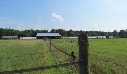 Photo of UNDER CONTRACT!  55 Acres of Farm Land with Log Home For Sale in Suffolk County VA!