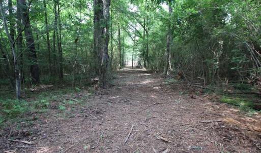 Photo of SOLD!  62.5 Acres of Hunting and Timber Land for Sale in Nash County NC!