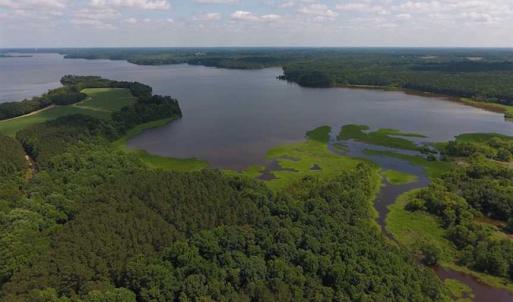 Photo of SOLD!  62.5 Acres of Hunting and Timber Land for Sale in Nash County NC!