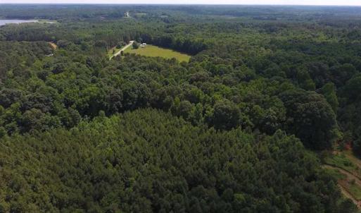 Photo of SOLD!  62.5 Acres of Hunting and Timber Land for Sale in Nash County NC!