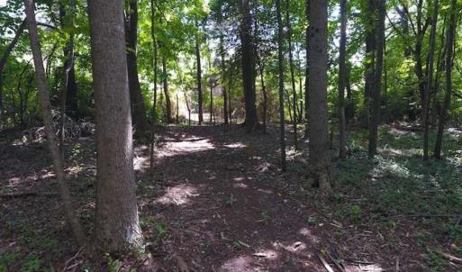 Photo of SOLD!  62.5 Acres of Hunting and Timber Land for Sale in Nash County NC!