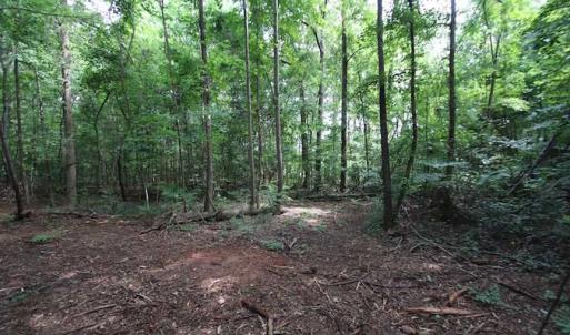 Photo of SOLD!  62.5 Acres of Hunting and Timber Land for Sale in Nash County NC!