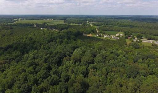 Photo of SOLD!  62.5 Acres of Hunting and Timber Land for Sale in Nash County NC!