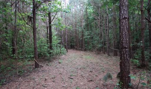 Photo of SOLD!  62.5 Acres of Hunting and Timber Land for Sale in Nash County NC!
