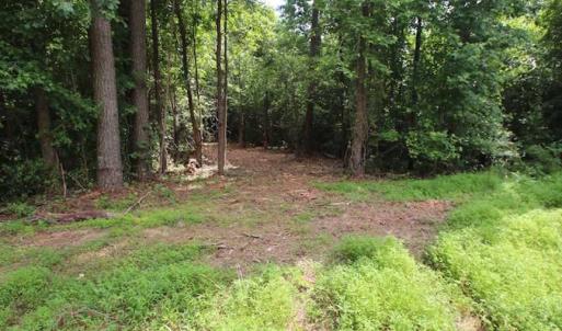Photo of SOLD!  62.5 Acres of Hunting and Timber Land for Sale in Nash County NC!