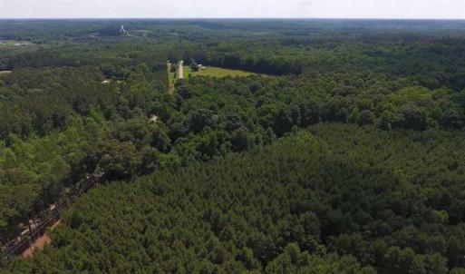 Photo of SOLD!  62.5 Acres of Hunting and Timber Land for Sale in Nash County NC!