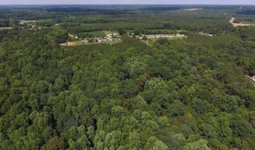 Photo of SOLD!  62.5 Acres of Hunting and Timber Land for Sale in Nash County NC!