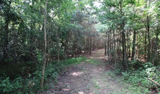 Photo of SOLD!  62.5 Acres of Hunting and Timber Land for Sale in Nash County NC!