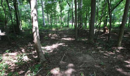 Photo of SOLD!  62.5 Acres of Hunting and Timber Land for Sale in Nash County NC!