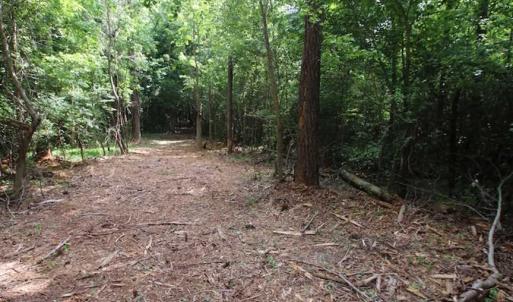 Photo of SOLD!  62.5 Acres of Hunting and Timber Land for Sale in Nash County NC!