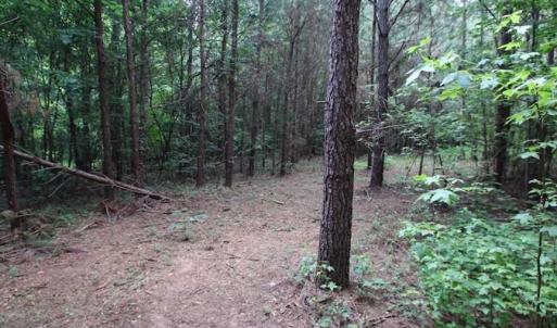 Photo of SOLD!  62.5 Acres of Hunting and Timber Land for Sale in Nash County NC!