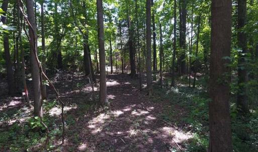Photo of SOLD!  62.5 Acres of Hunting and Timber Land for Sale in Nash County NC!