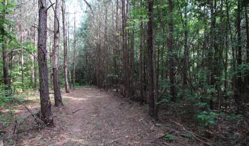 Photo of SOLD!  62.5 Acres of Hunting and Timber Land for Sale in Nash County NC!