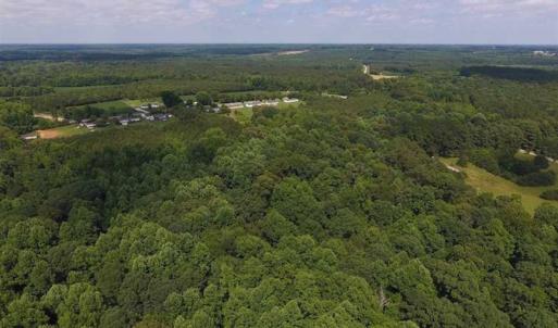 Photo of SOLD!  62.5 Acres of Hunting and Timber Land for Sale in Nash County NC!