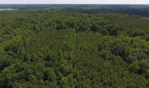 Photo of SOLD!  62.5 Acres of Hunting and Timber Land for Sale in Nash County NC!