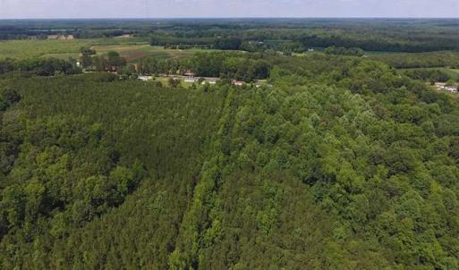 Photo of SOLD!  62.5 Acres of Hunting and Timber Land for Sale in Nash County NC!
