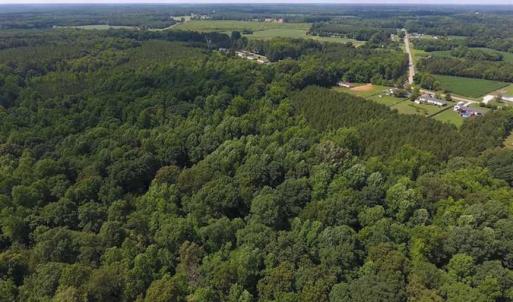 Photo of SOLD!  62.5 Acres of Hunting and Timber Land for Sale in Nash County NC!