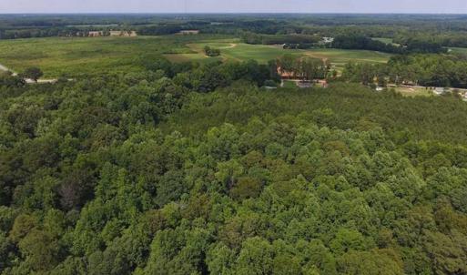 Photo of SOLD!  62.5 Acres of Hunting and Timber Land for Sale in Nash County NC!