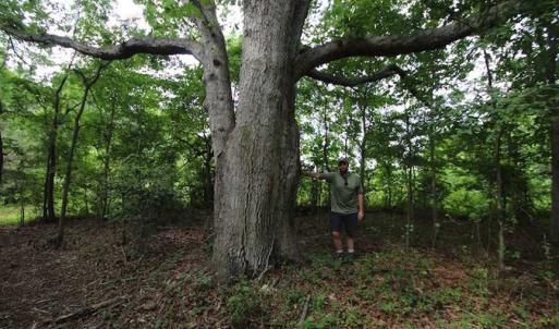 Photo of SOLD!  62.5 Acres of Hunting and Timber Land for Sale in Nash County NC!