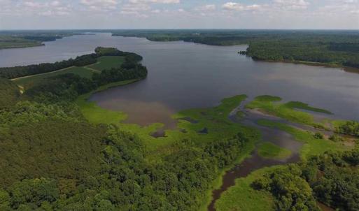 Photo of SOLD!  62.5 Acres of Hunting and Timber Land for Sale in Nash County NC!