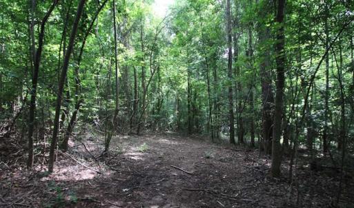 Photo of SOLD!  62.5 Acres of Hunting and Timber Land for Sale in Nash County NC!