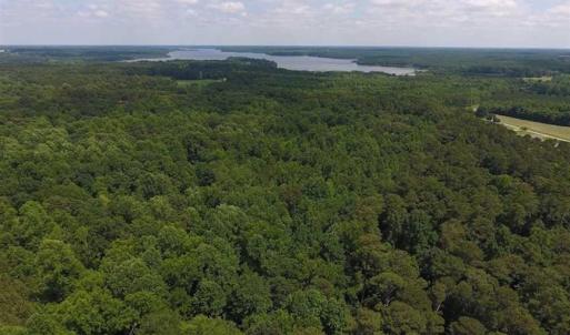 Photo of SOLD!  62.5 Acres of Hunting and Timber Land for Sale in Nash County NC!