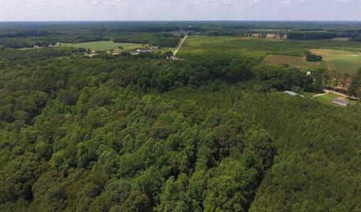 Photo of SOLD!  62.5 Acres of Hunting and Timber Land for Sale in Nash County NC!