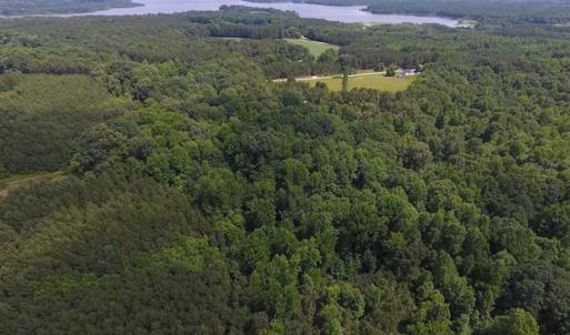 Photo of SOLD!  62.5 Acres of Hunting and Timber Land for Sale in Nash County NC!