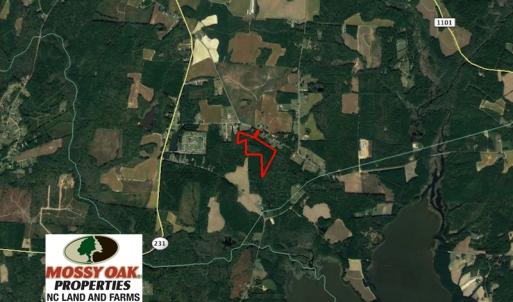 Photo of UNDER CONTRACT!  24.5 Acres of Hunting and Timber Land for Sale in Nash County NC!