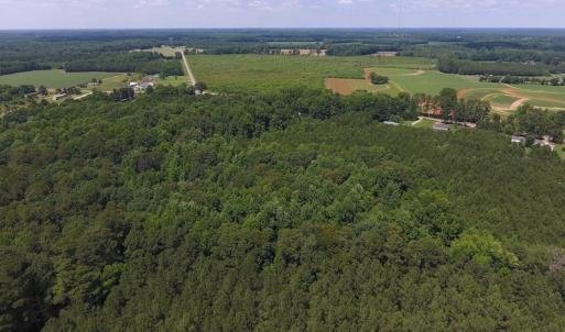 Photo of UNDER CONTRACT!  24.5 Acres of Hunting and Timber Land for Sale in Nash County NC!