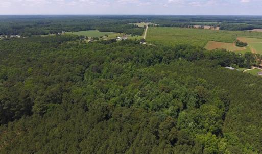 Photo of UNDER CONTRACT!  24.5 Acres of Hunting and Timber Land for Sale in Nash County NC!