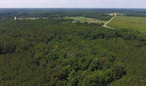 Photo of UNDER CONTRACT!  24.5 Acres of Hunting and Timber Land for Sale in Nash County NC!