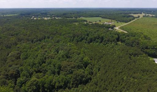 Photo of UNDER CONTRACT!  24.5 Acres of Hunting and Timber Land for Sale in Nash County NC!