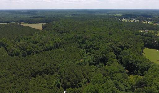 Photo of UNDER CONTRACT!  24.5 Acres of Hunting and Timber Land for Sale in Nash County NC!