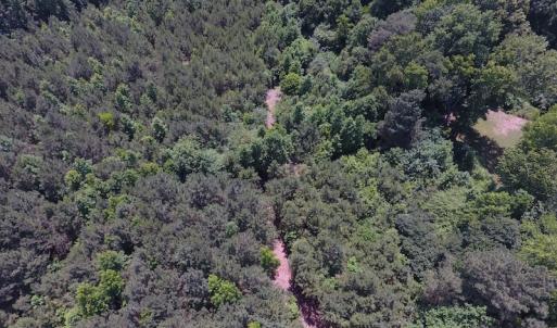 Photo of UNDER CONTRACT!  24.5 Acres of Hunting and Timber Land for Sale in Nash County NC!