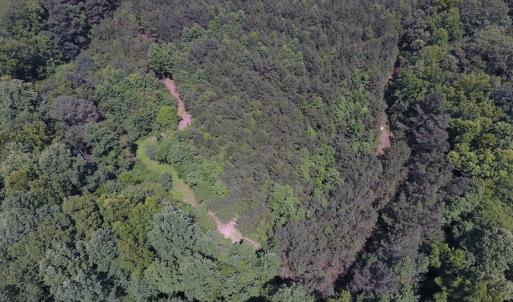 Photo of UNDER CONTRACT!  24.5 Acres of Hunting and Timber Land for Sale in Nash County NC!