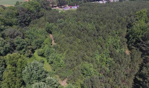 Photo of UNDER CONTRACT!  24.5 Acres of Hunting and Timber Land for Sale in Nash County NC!