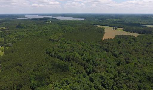 Photo of UNDER CONTRACT!  24.5 Acres of Hunting and Timber Land for Sale in Nash County NC!