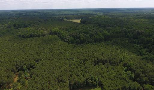 Photo of UNDER CONTRACT!  24.5 Acres of Hunting and Timber Land for Sale in Nash County NC!