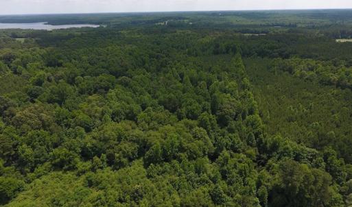 Photo of UNDER CONTRACT!  24.5 Acres of Hunting and Timber Land for Sale in Nash County NC!