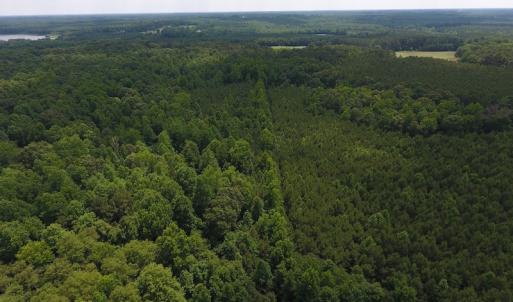 Photo of UNDER CONTRACT!  24.5 Acres of Hunting and Timber Land for Sale in Nash County NC!