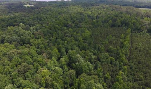 Photo of UNDER CONTRACT!  24.5 Acres of Hunting and Timber Land for Sale in Nash County NC!
