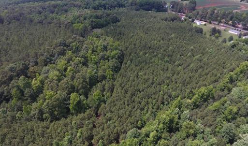 Photo of UNDER CONTRACT!  24.5 Acres of Hunting and Timber Land for Sale in Nash County NC!