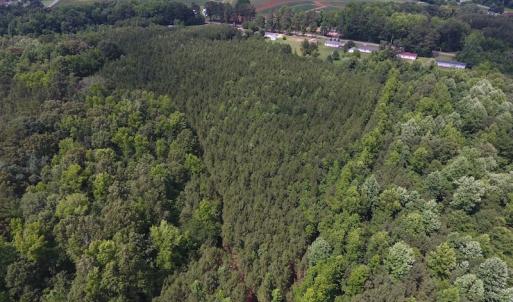 Photo of UNDER CONTRACT!  24.5 Acres of Hunting and Timber Land for Sale in Nash County NC!