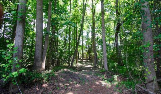 Photo of UNDER CONTRACT!  24.5 Acres of Hunting and Timber Land for Sale in Nash County NC!