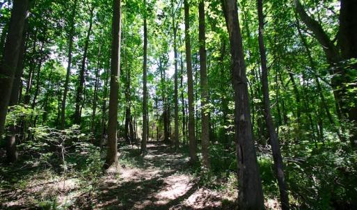 Photo of UNDER CONTRACT!  24.5 Acres of Hunting and Timber Land for Sale in Nash County NC!