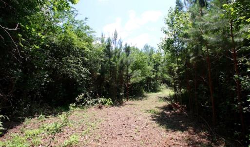 Photo of UNDER CONTRACT!  24.5 Acres of Hunting and Timber Land for Sale in Nash County NC!