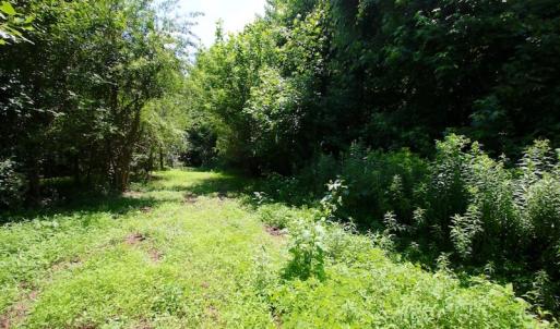 Photo of UNDER CONTRACT!  24.5 Acres of Hunting and Timber Land for Sale in Nash County NC!