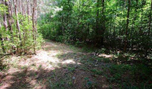 Photo of UNDER CONTRACT!  24.5 Acres of Hunting and Timber Land for Sale in Nash County NC!